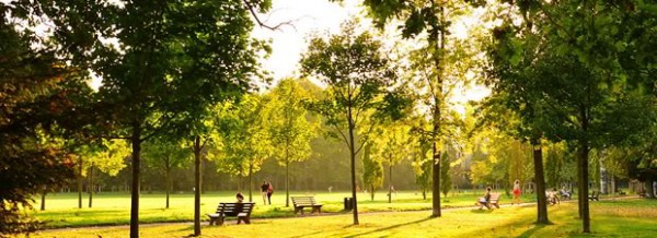 parc-tete-dor parc-tete-dor