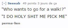 question-reddit-chien2 question-reddit-chien2