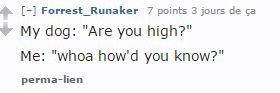 question-reddit-chien6 question-reddit-chien6