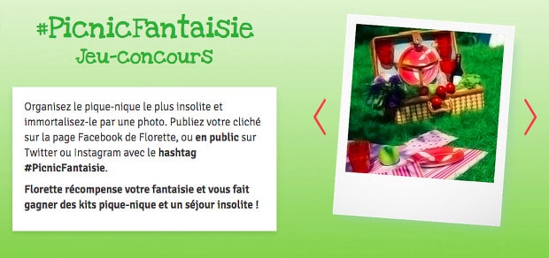 pique-nique-fantaisie pique-nique-fantaisie