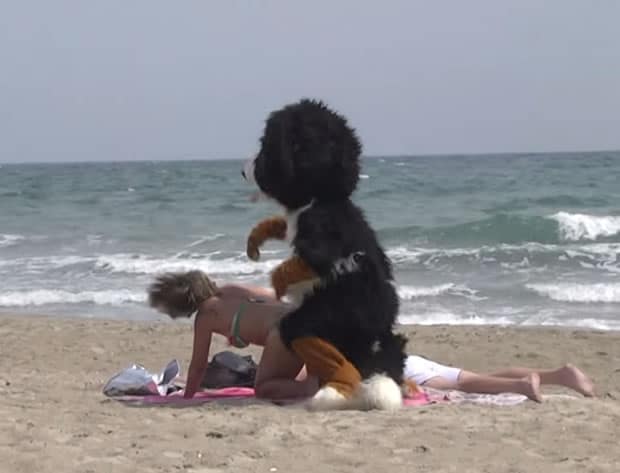 remi-gaillard-dog-levrette-plage remi-gaillard-dog-levrette-plage