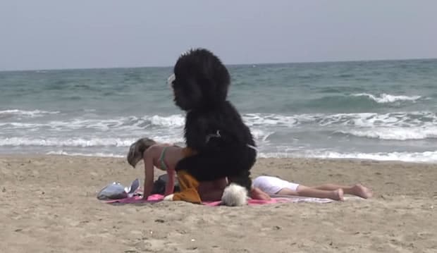 remi-gaillard-dog-levrette remi-gaillard-dog-levrette