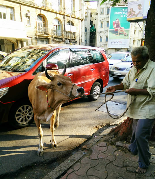 rue bombay