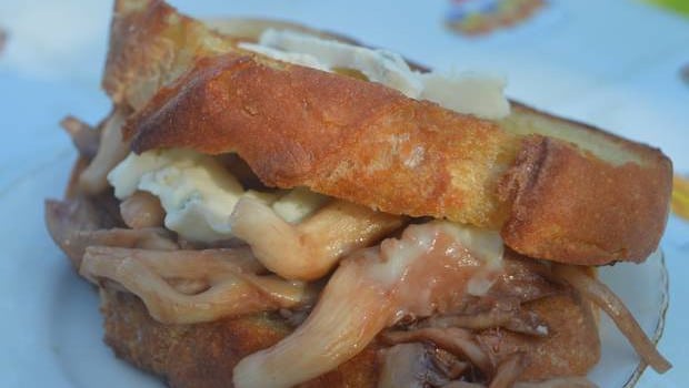 sandwich gorgonzola pleurote porto sandwich gorgonzola pleurote porto