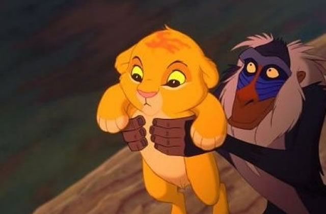 troupes-roi-lion-aladdin-bloquees-aeroport-show