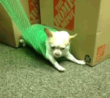 130715 130715
