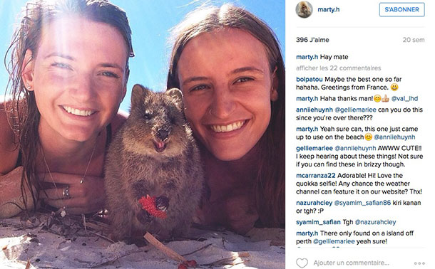 animaux-bonne-tete-quokka-selfie