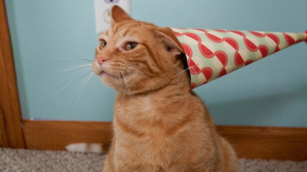 anniversaire-guide-chat anniversaire-guide-chat