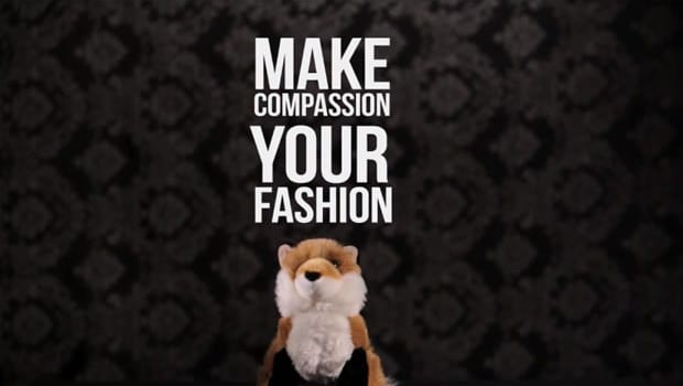 compassion-fashion compassion-fashion