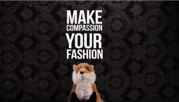 compassion-fashion