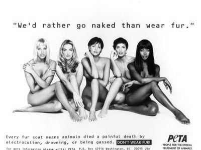 peta-stars peta-stars