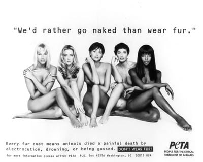 peta-stars