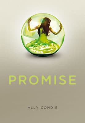 selection-gallimard-promise