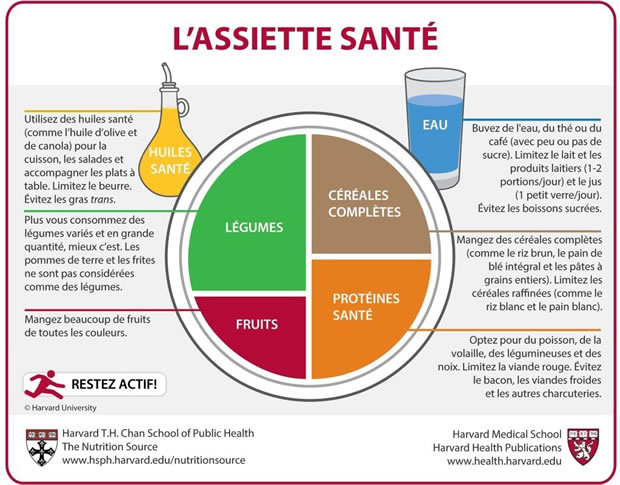 assiette-sante-harvard