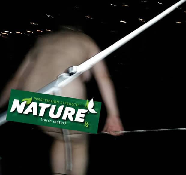 clem-nature