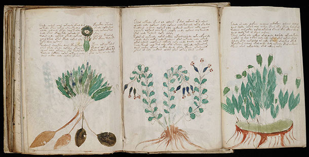 grands-mysteres-histoire-2-voynich grands-mysteres-histoire-2-voynich