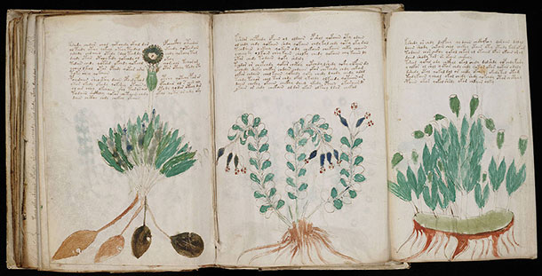 grands-mysteres-histoire-2-voynich