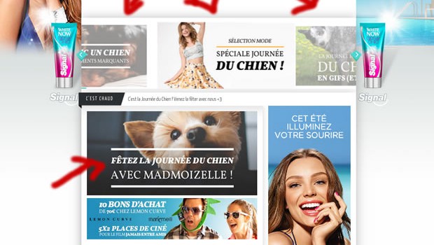 home chien home chien