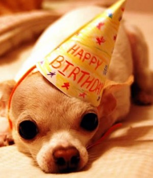 Temoignages Page 128 Sur 192 Madmoizelle