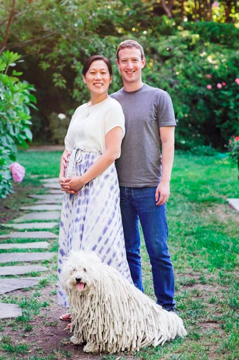 mark-zuckerberg-annonce-grossesse