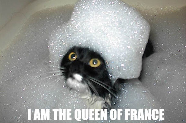 si-jetais-chat-lolcat-queen