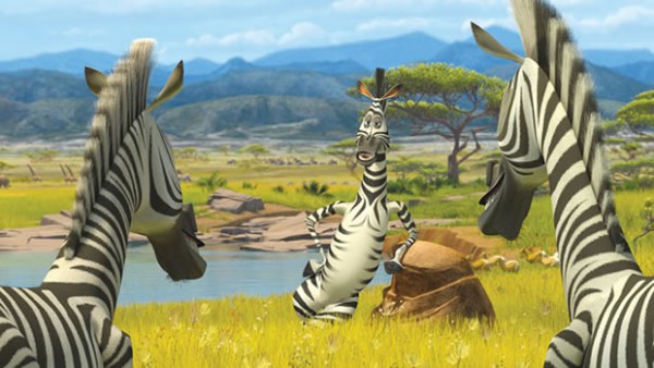 zebre-madagascar