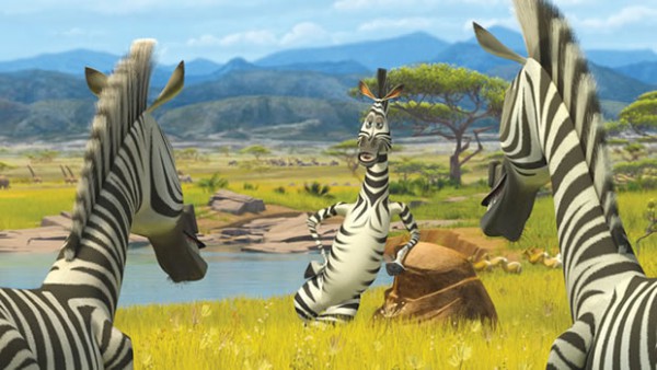zebre-madagascar zebre-madagascar
