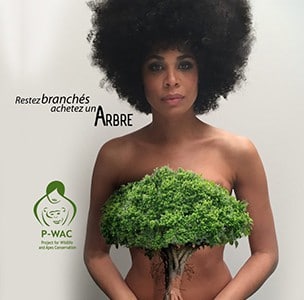 amandine-primatologue-achetez-arbre-p-wac amandine-primatologue-achetez-arbre-p-wac