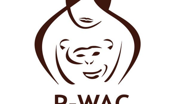 amandine-primatologue-p-wac amandine-primatologue-p-wac
