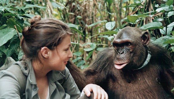 amandine-primatologue-rencontre amandine-primatologue-rencontre