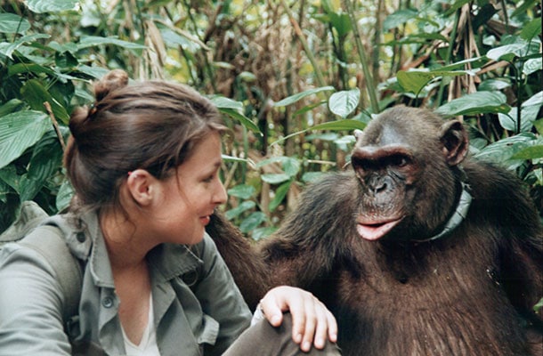 amandine-primatologue-rencontre