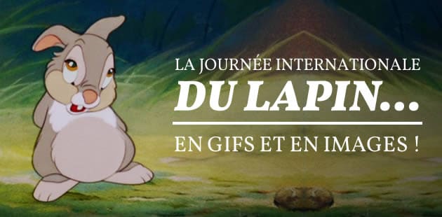 big-journee-lapin-gifs-images