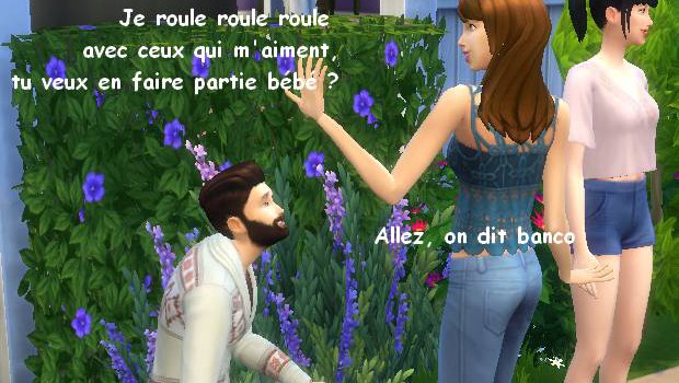 demande en mariage demande en mariage