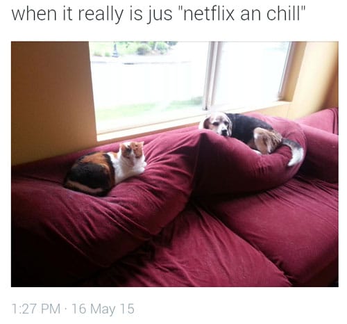 netflix-and-chill-meme-3