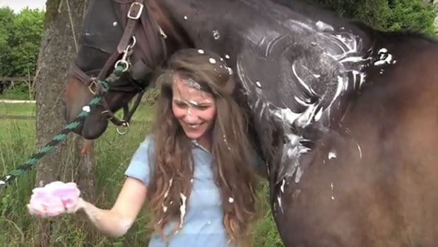 Amelie-cheval Amelie-cheval