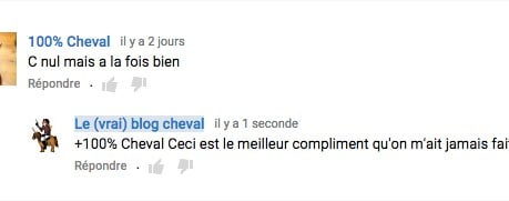 commentaire-amelie commentaire-amelie