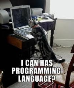 le-saviez-vous-internet-lolcat