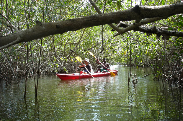 ucpa-delta-afrique-kayak ucpa-delta-afrique-kayak