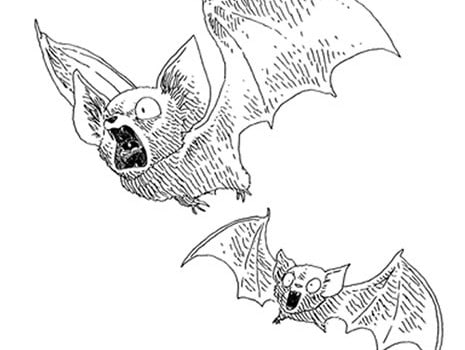 bonheur-gaiman-boulet-chauve-souris bonheur-gaiman-boulet-chauve-souris