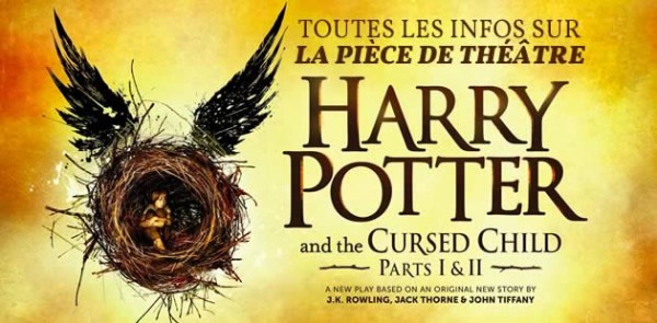 big-harry-potter-cursed-child-piece-theatre-livre
