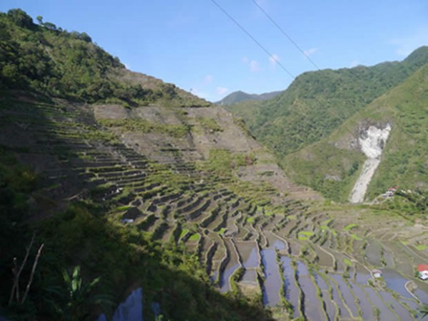 carte-postale-philippines-riziere carte-postale-philippines-riziere
