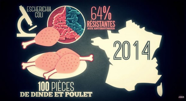 datagueule-boucherie-dinde-poulet-e-choli datagueule-boucherie-dinde-poulet-e-choli