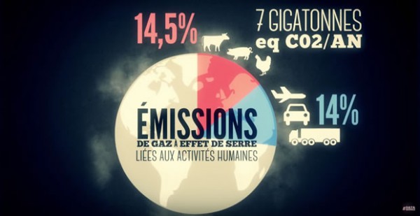 datagueule-boucherie-emissions-co2-15-pourcent datagueule-boucherie-emissions-co2-15-pourcent