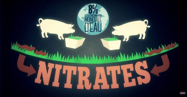 datagueule-boucherie-pollution-nitrates datagueule-boucherie-pollution-nitrates