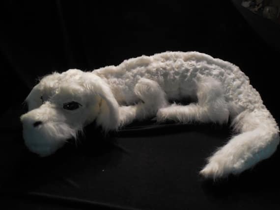 falkor1 falkor1