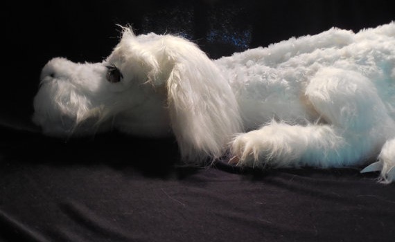 falkor2 falkor2