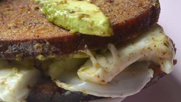 grilled cheese avocat