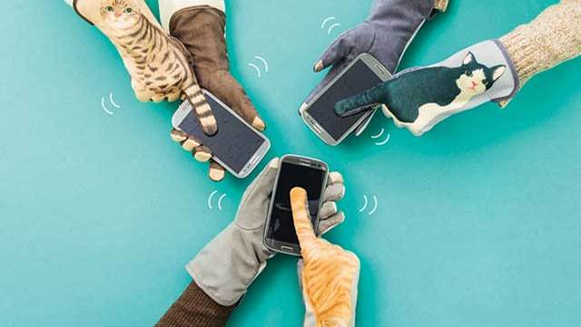 gants-chats-smartphones