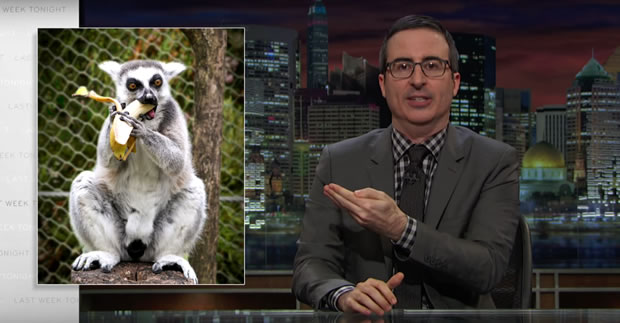 john-oliver-donald-trump-lemur