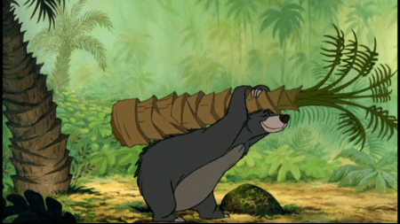 baloo-livre-de-la-jungle